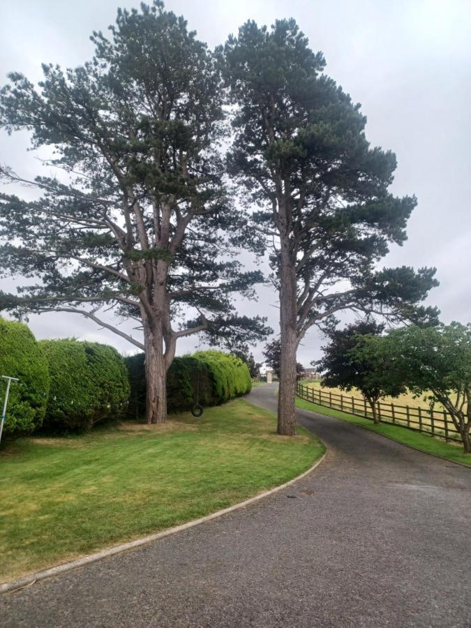Appartement Loughview Retreat In The Mournes à Newcastle  Extérieur photo